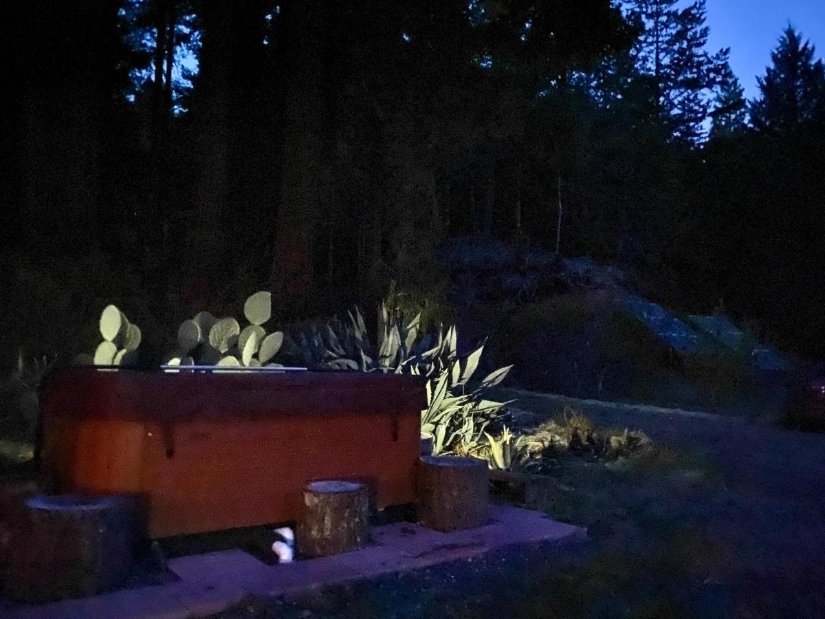 Glamping In The Redwoods With A Hot Tub! Garberville Exterior foto